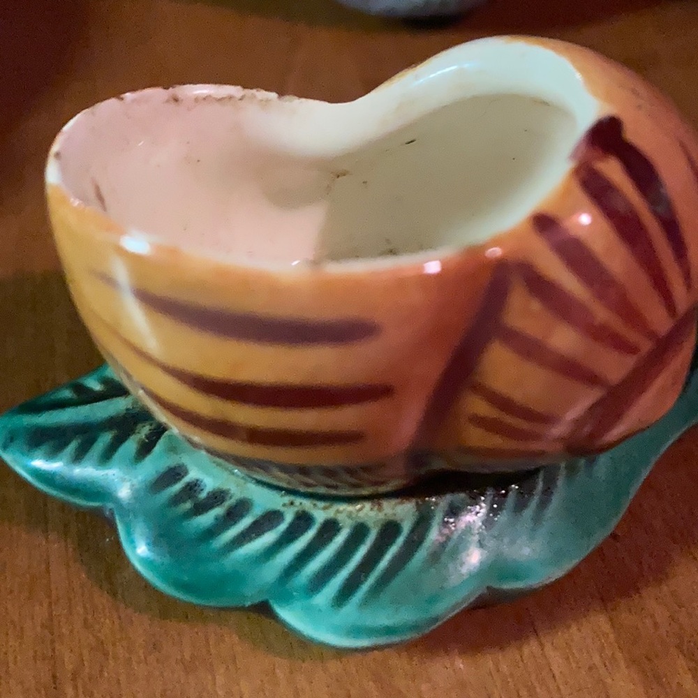 Rare vintage porcelain shell on a leaf
